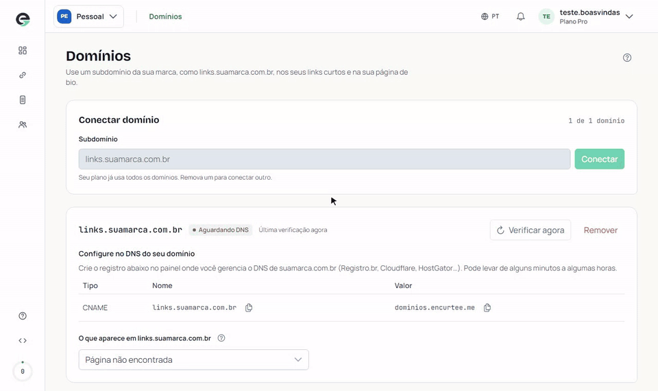 O botão Verificar agora é clicado e o status do domínio muda para Ativo